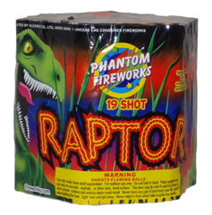 Raptor 19 shot - Click Image to Close