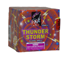 Thunderstorm 16 shot - Click Image to Close